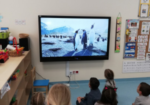 Przedszkolaki oglądają film o pingwinach